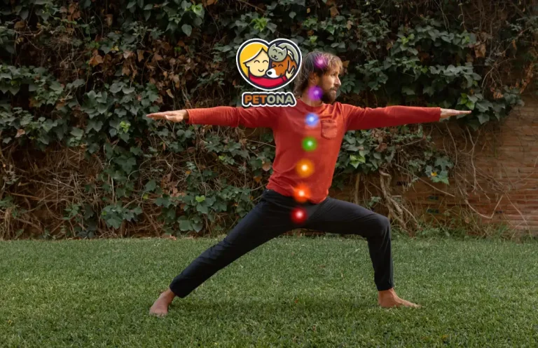 یوگا برای تقویت مغز و حافظه: بهترین حرکات یوگای مغز برای آرامش، تمرکز و کاهش استرس