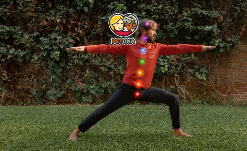 حرکات یوگای مغز